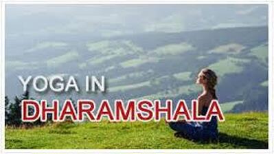 Pyramid Cafe & Yoga photo