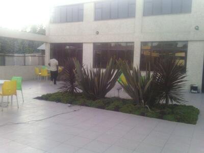 DANI Gazebo