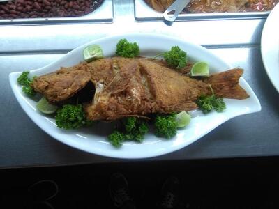 Asados El Lomo Y La Costilla Masatepe Masatepe