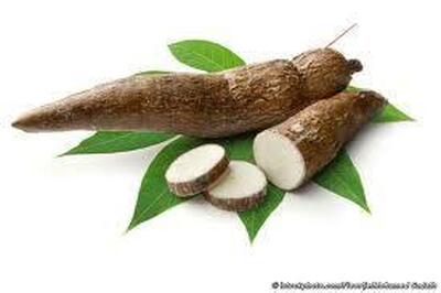 Antojitos La Tierra De La Yuca