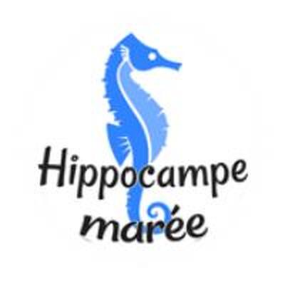 Hippocampe Marée Carpentras