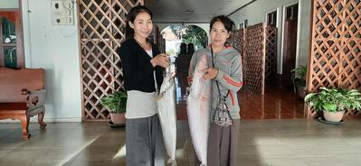 ຮ້ານອາຫານສາຍທອງ