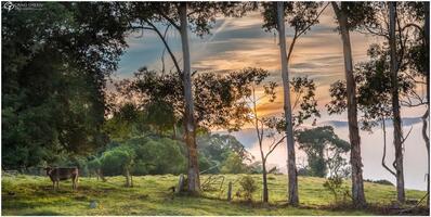 Kangaroo Valley Pub