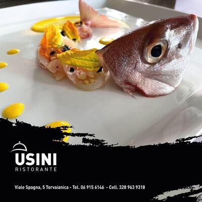 Alessandro Usini Chef