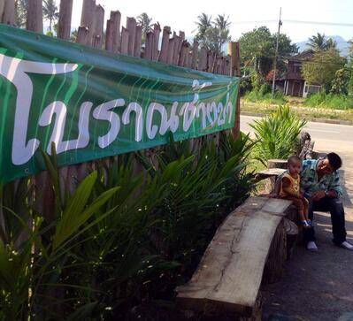 โบราณช้างป่า