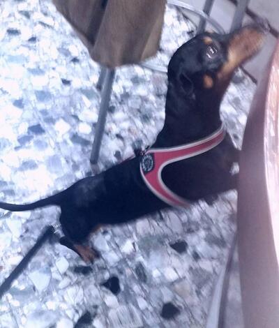 Cafebleu Di Montebello Salvatore foto