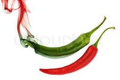 Mic's Mexican