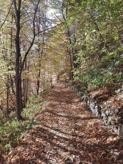 Hotel Ristorante Valle Del Bitto