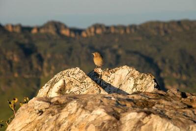 Pousada e restaurante pedacinho do ceu