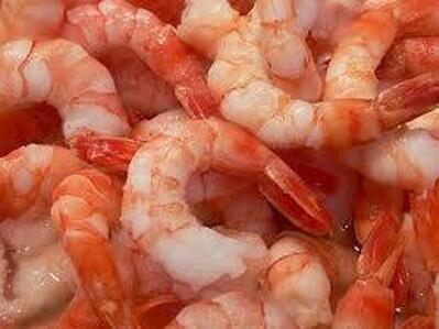 MR. Mariscos