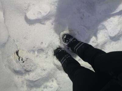 Cocktail Bar di Narducci Paola