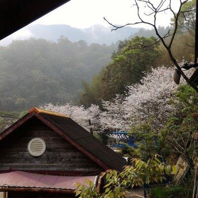 高山青養鱒場