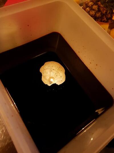 Ristorante Giapponese KYO