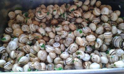 Trattoria Da Graziella Di Doria Daniela