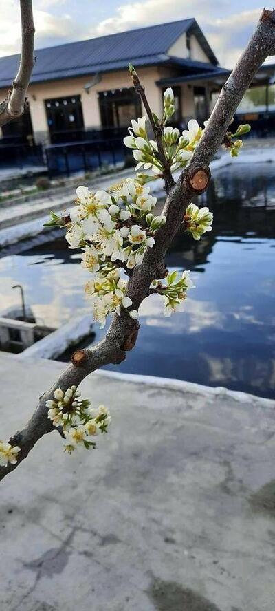 Restaurant Fish House
