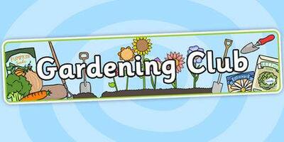 Store Support Garden