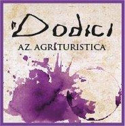 La Vinaia dell'agriturismo ai Dodici