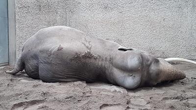 Knies Kinderzoo Restaurant