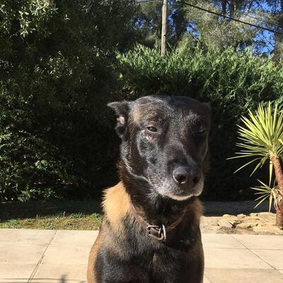 Le saint andré Saint-André-de-la-Roche