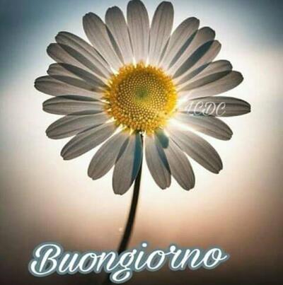 Bar Trattoria La Sosta