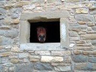 Agriturismo Ca de Il Rio Zafferino foto