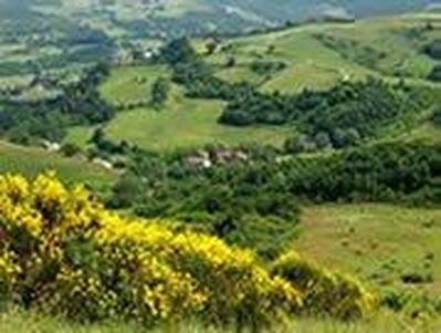 Agriturismo Ca de Il Rio Zafferino foto