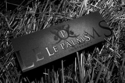 Bar Ambiance le Palms