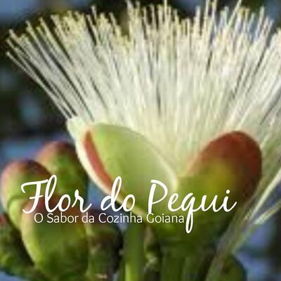 Restaurante Flor de Pequi