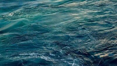 Banana Republic Cavala photo