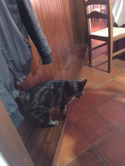 Trattoria La Pace