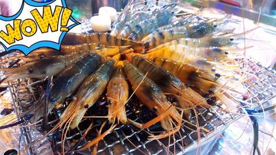 水道鮮羅蝦_泰國蝦、生猛海鮮吃到飽