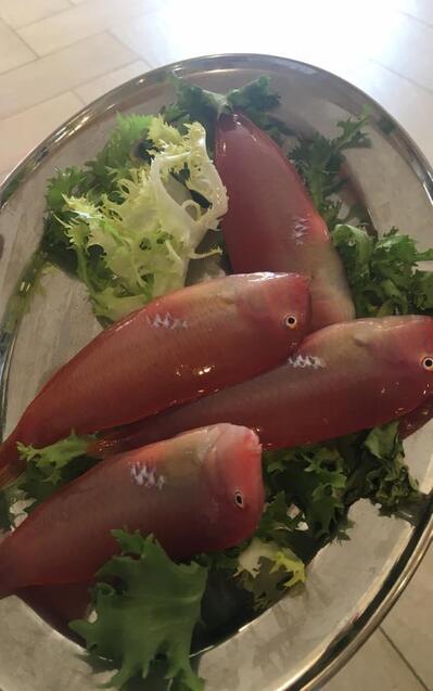 Imbarcadero Stignano