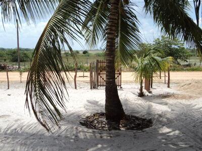 Churrascaria Toca Do Castelo