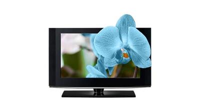TransVision