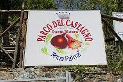 AGRITURISMO - PARCO DEL CASTAGNO "ANNA PALMA" San Vincenzo la Costa