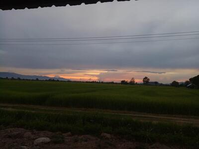 สายลมจอย