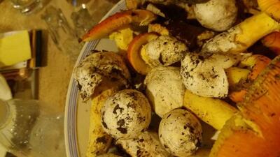 Ristorante I' Nostrano