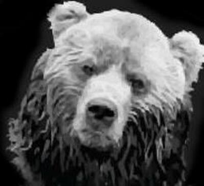Bears Lodge