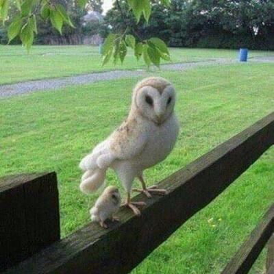 Hacker's Cyber Cafe photo