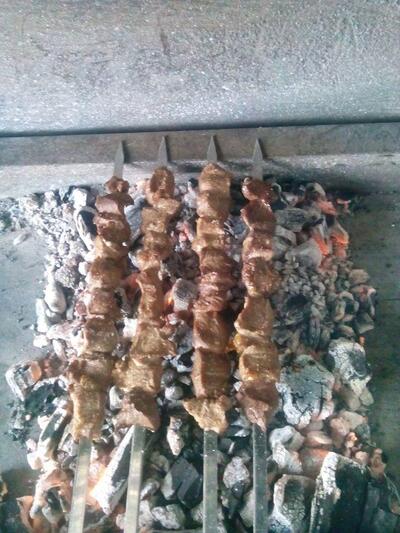 دیزی مشتی