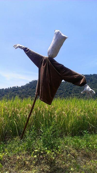 老火房