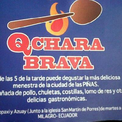 Qchara BRAVA