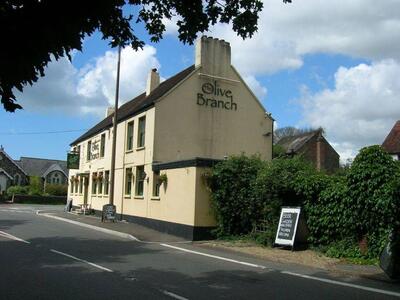The Olive Branch