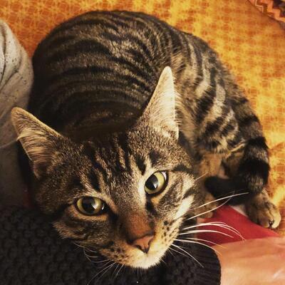 Agriturismo San Marco