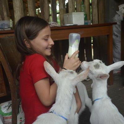 Bistro Capril do Bosque