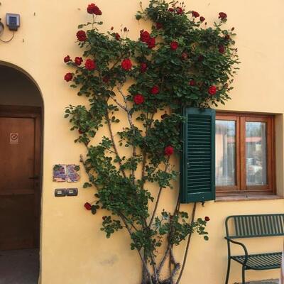 La Torre - wine resort