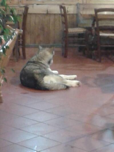 Hotel Everest Bar Ristorante