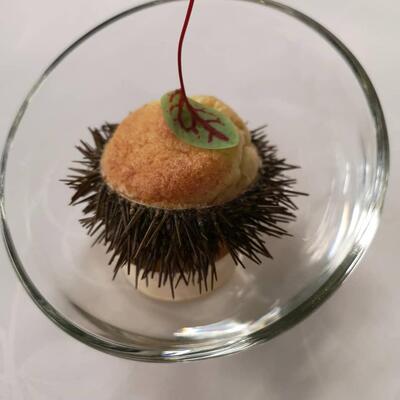 Le Clos du Roy Gevrey-Chambertin