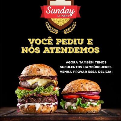 Sunday O Point Nova Hartz RS