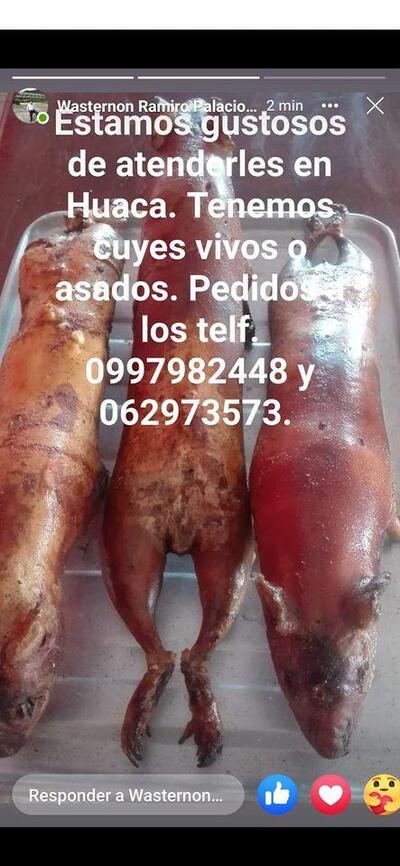Comedor Rosita